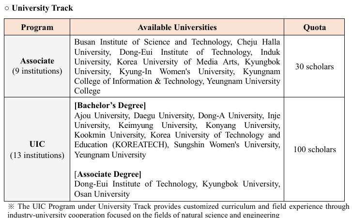 GKS Undergraduate Scholarship University Track Fields of Study
