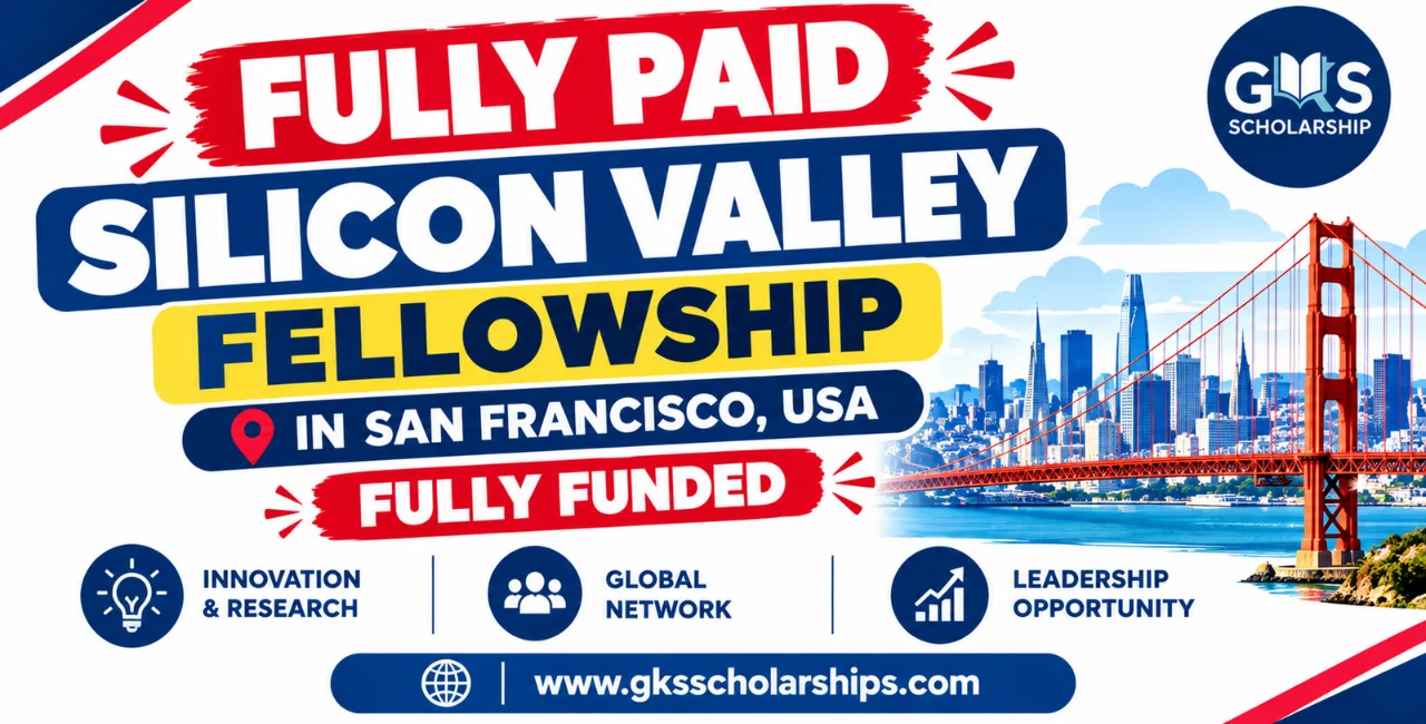 Silicon Valley Fellowship